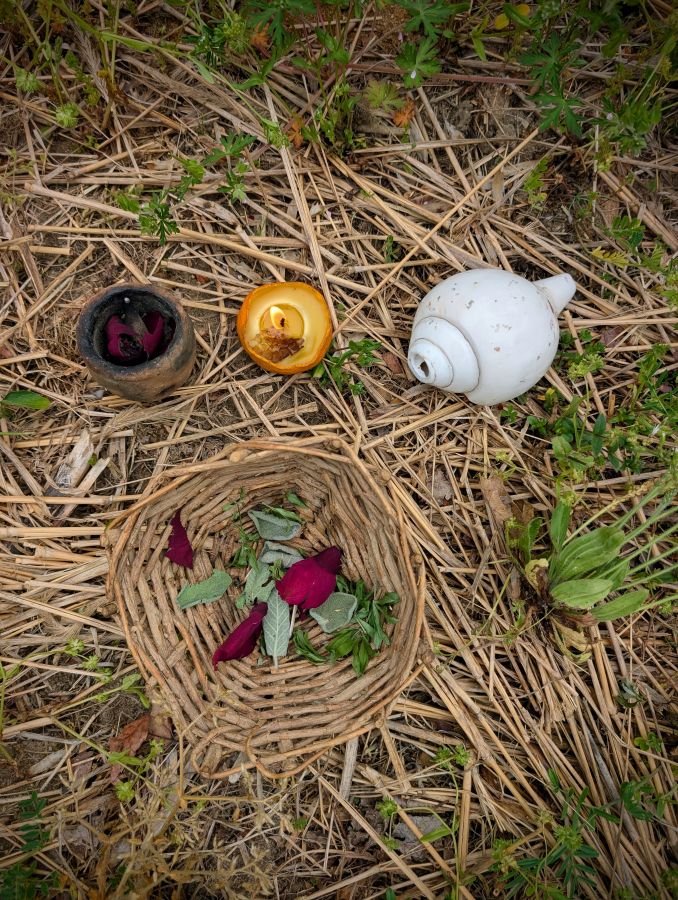 Bark and Berries: Finding What We Seek on the Land